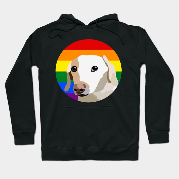 not too fond of gay people Hoodie by casserolestan